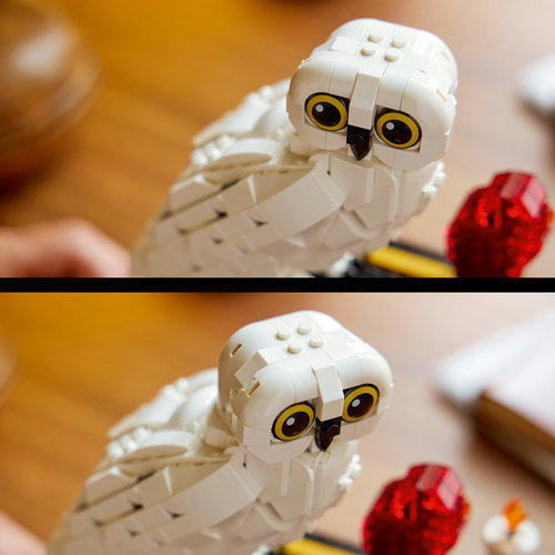 Functie die de aandacht trekt