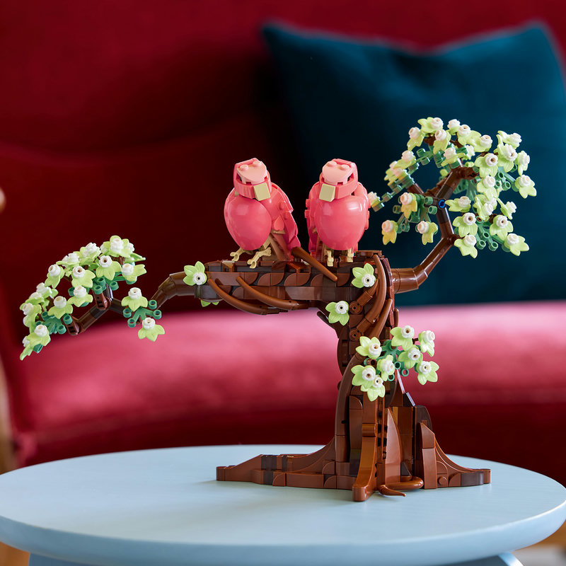 Възхитителен комплект за изграждане и показване