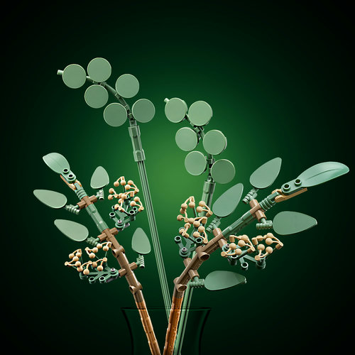Eucalyptus stems