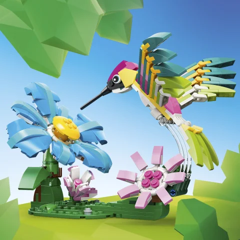 Kolibrimodell