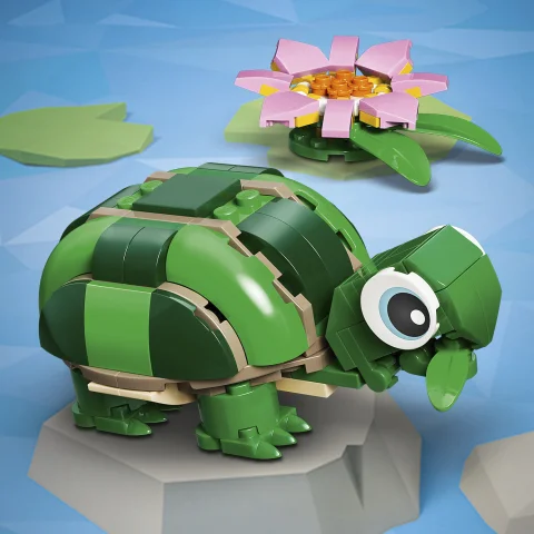 Turtle toy