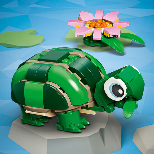 Turtle toy