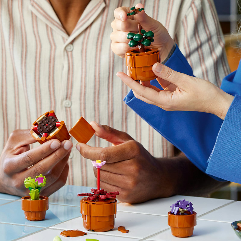LEGO 10329 Mini-Pflanzen Lifestyle