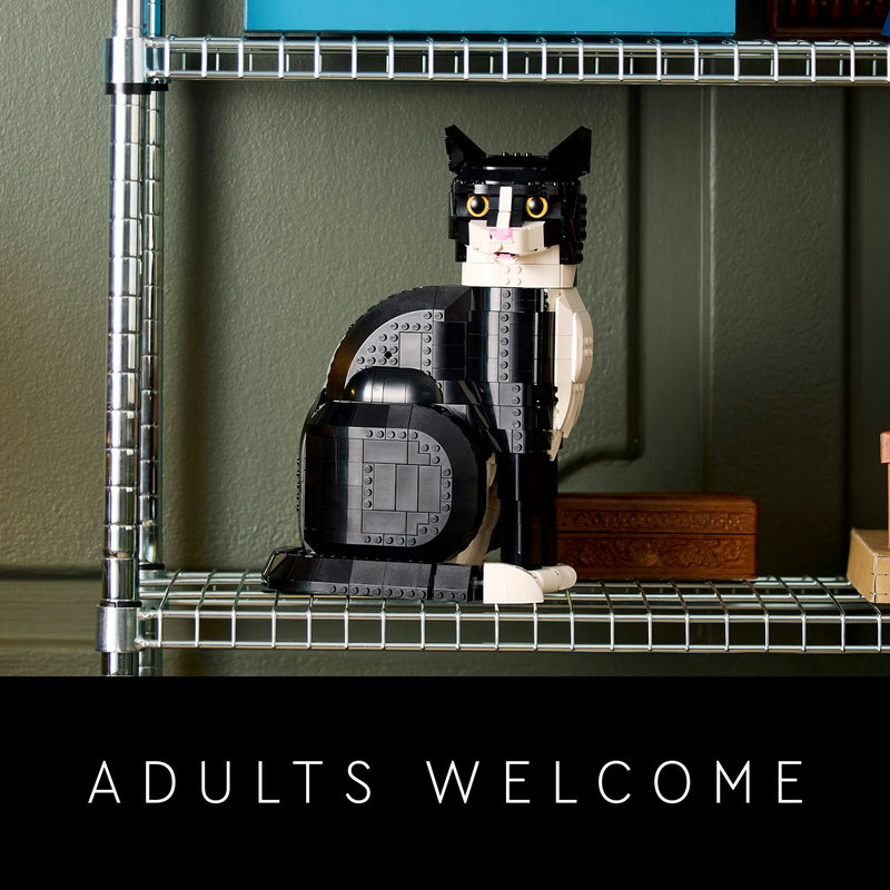 Cat gift for animal-loving adults