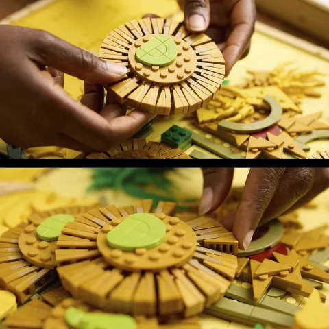 Adjustable petals
