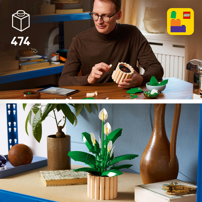 An immersive project