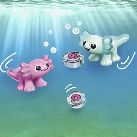Keresd meg az axolotlokat!