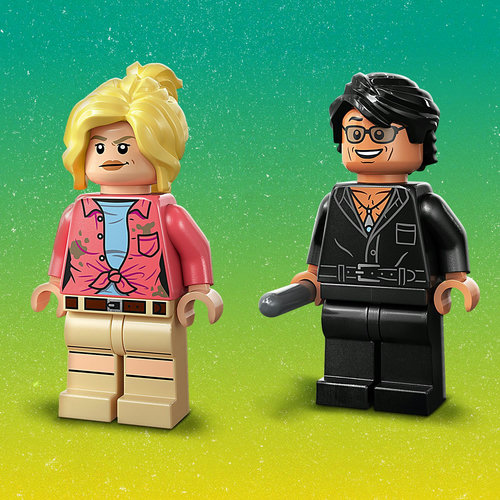 2 LEGO® figūrėlės