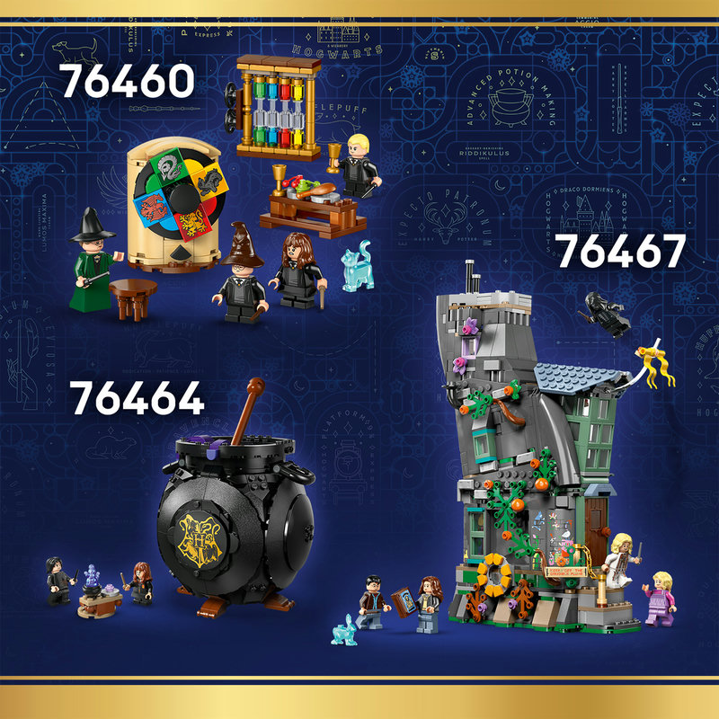 Collectible LEGO® Harry Potter™ gift for kids