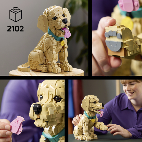 LEGO 11384 Golden Retriever Welpe Nahaufnahme Gesicht