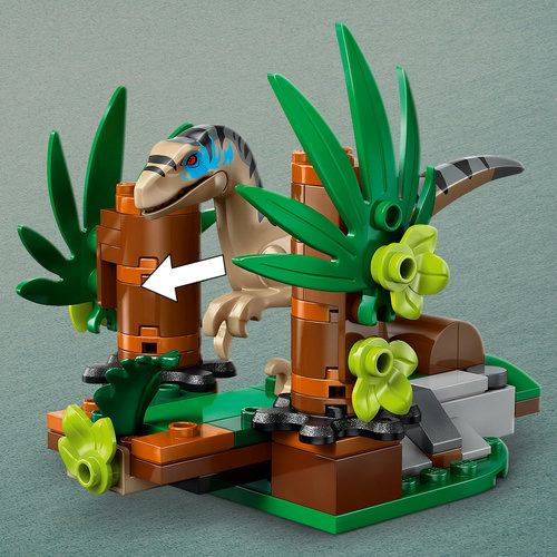 ‘Surprise jump’ function